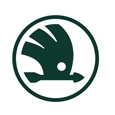 Коврики для Skoda